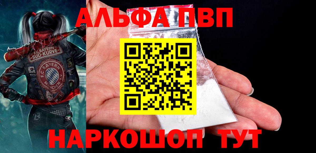 APVP СК Электрогорск