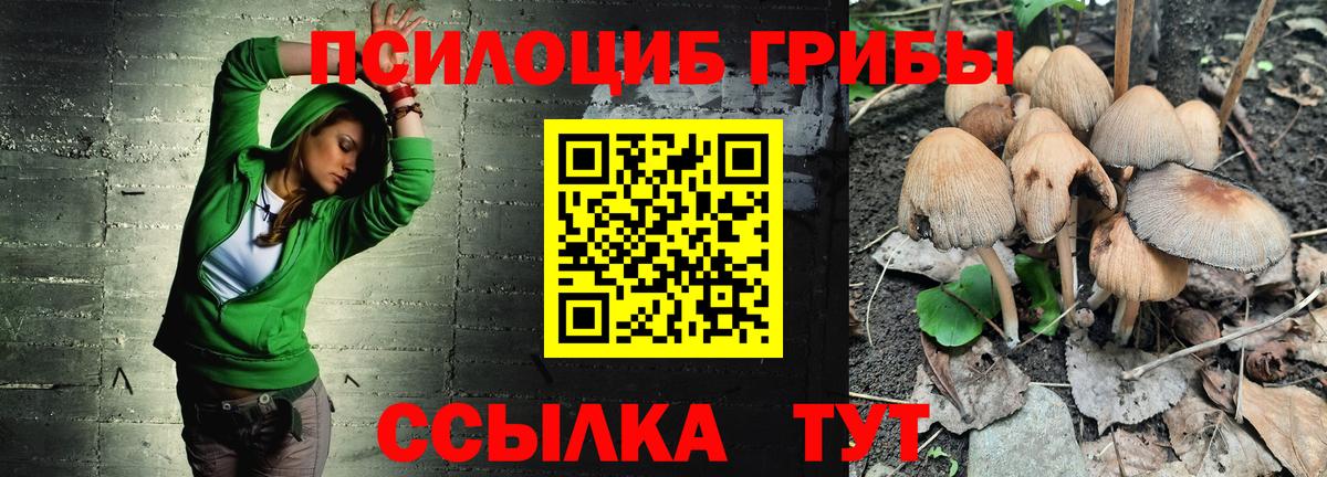 Псилоцибиновые грибы Cubensis  Вход с VPN  Электрогорск 